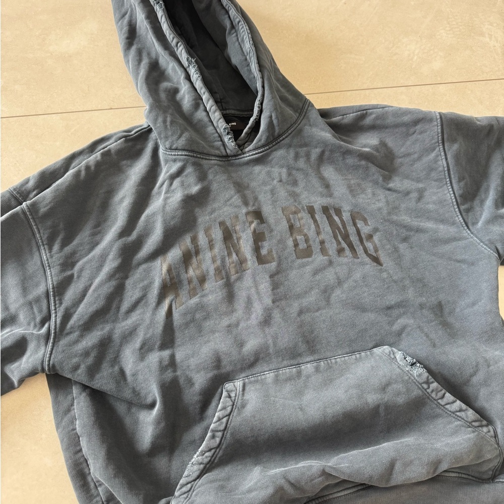 Anine Bing Charcoal Hoodie
